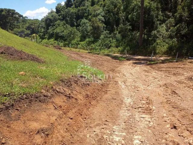 Sítio e chácara venda em Região Geográfica Imediata de Curitiba, Região Metropolitana de Curitiba