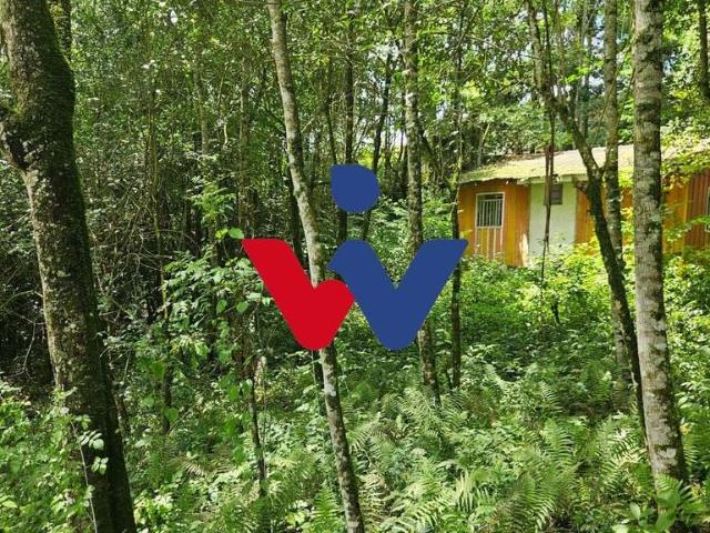 Sítio e chácara venda em Região Geográfica Imediata de Curitiba, Região Metropolitana de Curitiba
