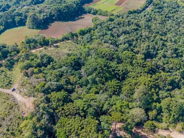 Sítio e chácara venda em Região Geográfica Imediata de Curitiba, Região Metropolitana de Curitiba