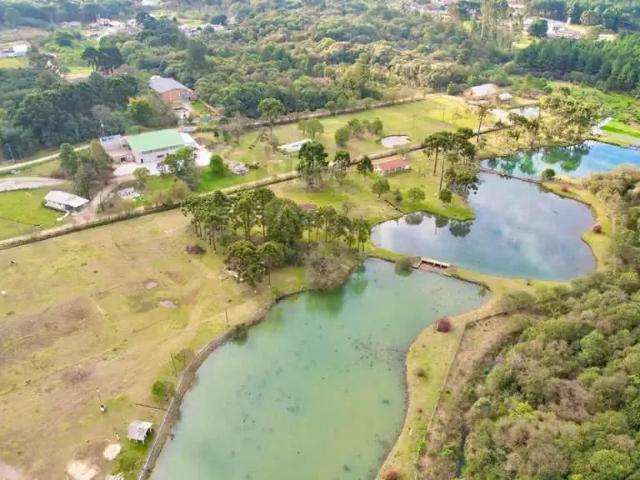 Sítio e chácara venda em Região Geográfica Imediata de Curitiba, Região Metropolitana de Curitiba