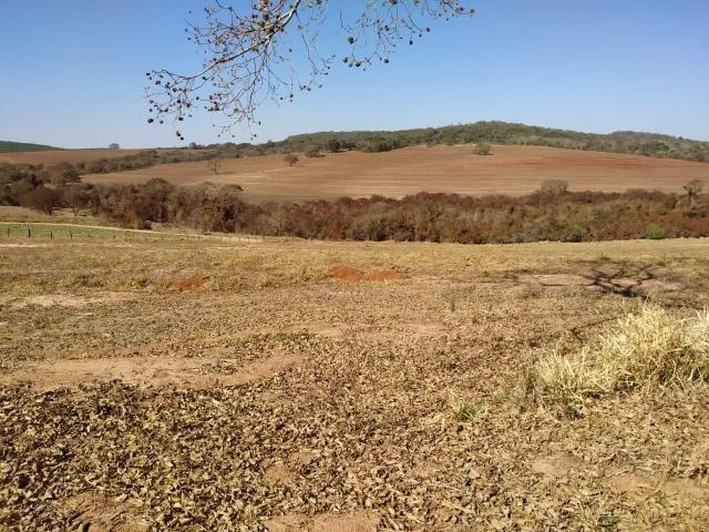 Sítio e chácara venda em Altinópolis