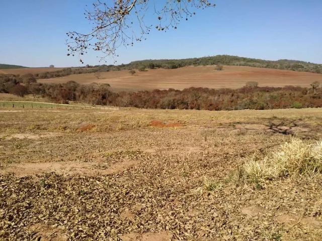 Sítio e chácara venda em Região Imediata de Ribeirão Preto, Região Metropolitana de Ribeirão Preto