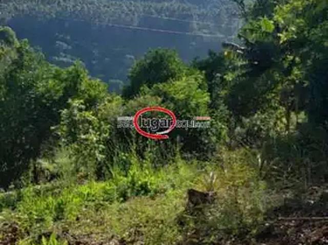 Sítio e chácara venda em Região Geográfica Imediata de Caxias do Sul, Alto Feliz