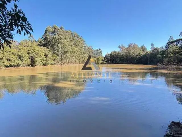 Sítio e chácara venda em Região Geográfica Imediata de Caxias do Sul, Alto Feliz