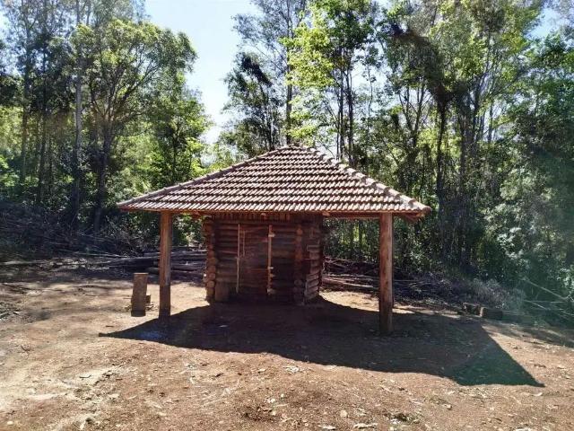Sítio e chácara venda em Região Geográfica Imediata de Caxias do Sul, Alto Feliz
