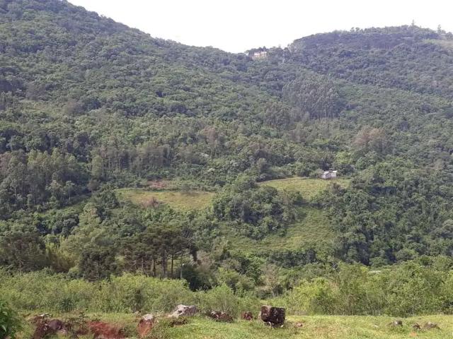 Sítio e chácara venda em Região Geográfica Imediata de Caxias do Sul, Alto Feliz