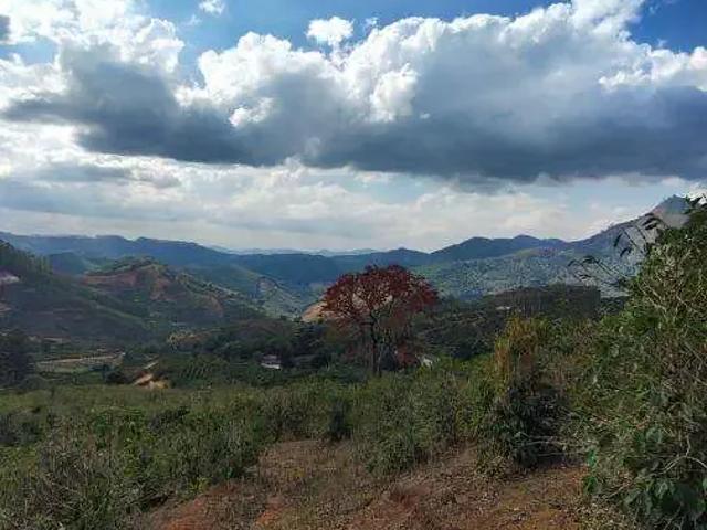 Sítio e chácara venda em Região Geográfica Imediata de Manhuaçu, Alto Jequitibá