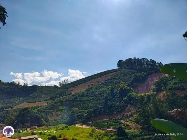 Sítio e chácara venda em Região Geográfica Imediata de Manhuaçu, Alto Jequitibá