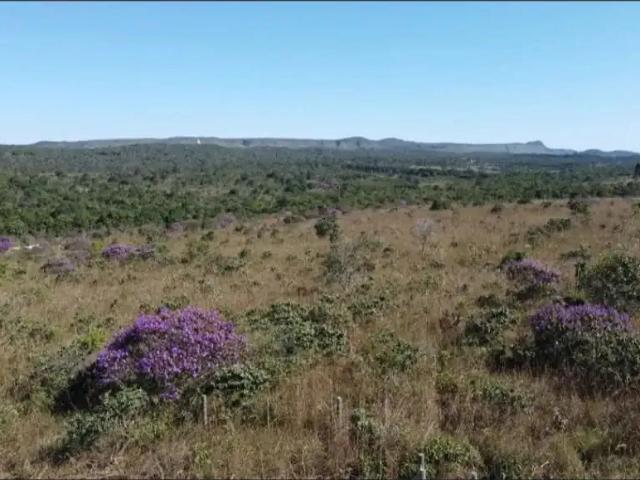 Sítio e chácara venda em Região Geográfica Imediata de Flores de Goiás, Alto Paraíso de Goiás