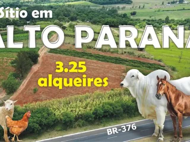 Sítio e chácara venda em Região Geográfica Imediata de Paranavaí, Alto Paraná