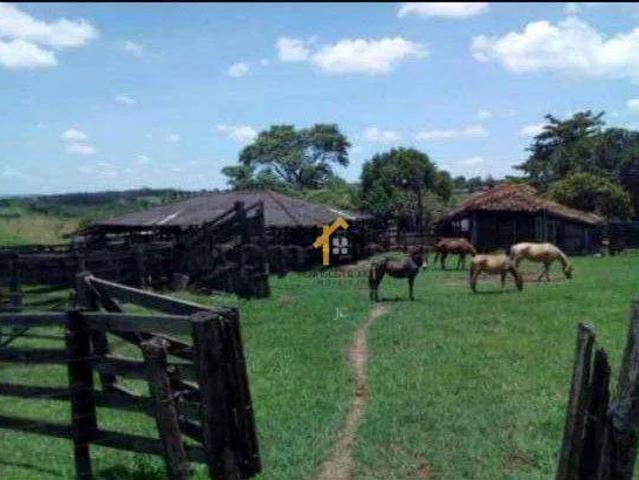 Sítio e chácara venda em Álvares Florence