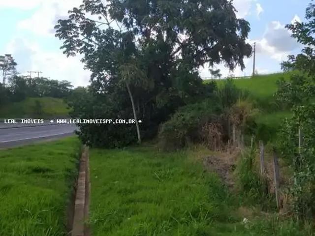 Sítio e chácara venda em Região Imediata de Presidente Prudente, Presidente Prudente