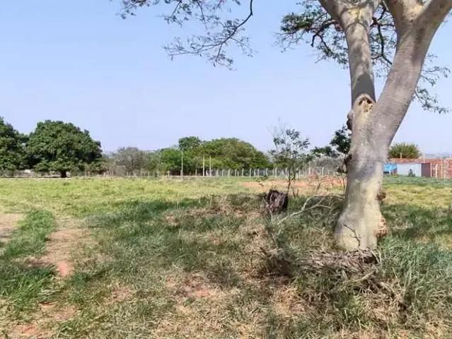 Sítio e chácara venda em Região Imediata de Presidente Prudente, Álvares Machado