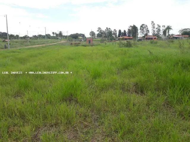 Sítio e chácara venda em Região Imediata de Presidente Prudente, Álvares Machado