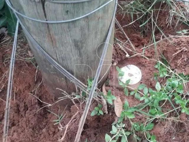 Sítio e chácara venda em Região Imediata de Marília, Alvinlândia