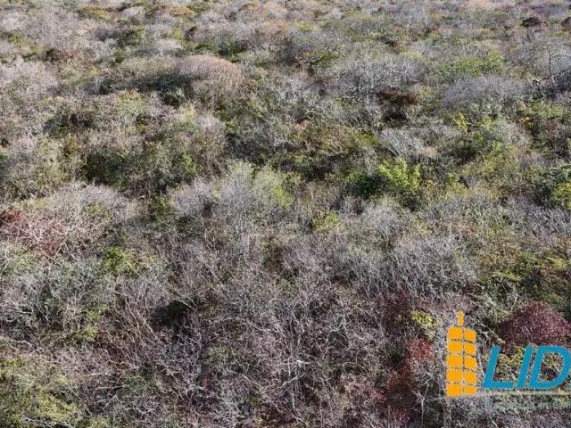 Sítio e chácara venda em Alvorada do Gurguéia, Região Nordeste