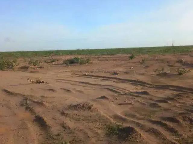 Sítio e chácara venda em Alvorada do Gurguéia, Região Nordeste