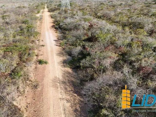 Sítio e chácara venda em Alvorada do Gurguéia, Região Nordeste