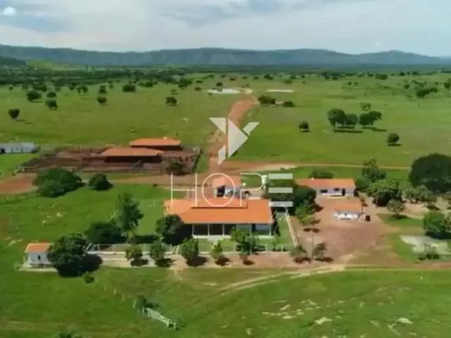 Sítio e chácara venda em Região Geográfica Imediata de Posse-Campos Belos, Alvorada do Norte