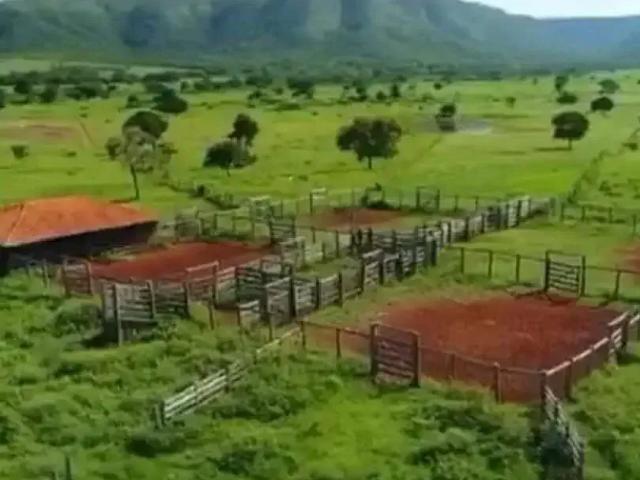 Sítio e chácara venda em Região Geográfica Imediata de Posse-Campos Belos, Alvorada do Norte