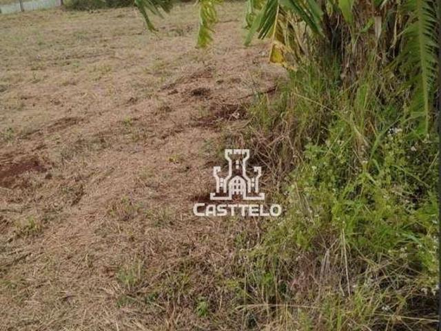 Sítio e chácara venda em Região Geográfica Imediata de Londrina, Alvorada do Sul