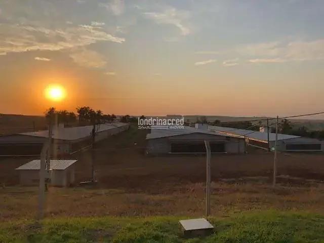 Sítio e chácara venda em Região Geográfica Imediata de Londrina, Alvorada do Sul