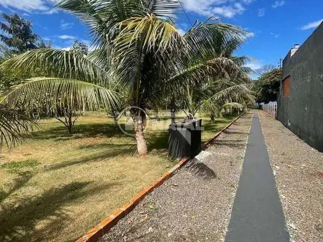Sítio e chácara venda em Região Geográfica Imediata de Londrina, Alvorada do Sul