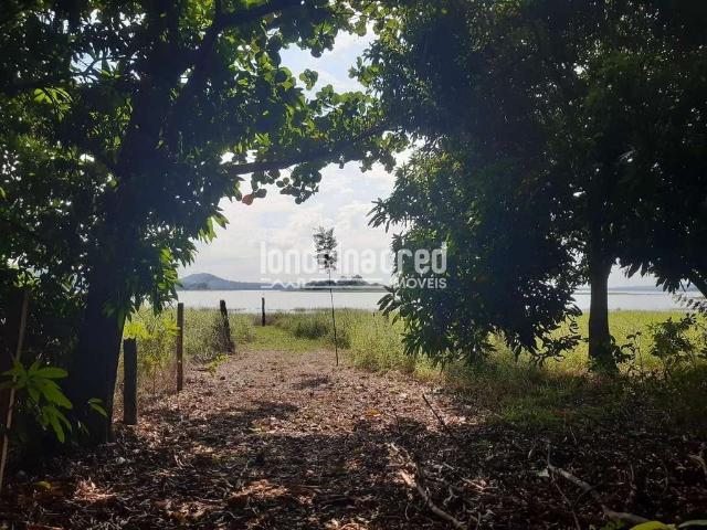 Sitio venda em Alvorada do Sul, Umbu Sitio venda em Alvorada do Sul, Umbu
