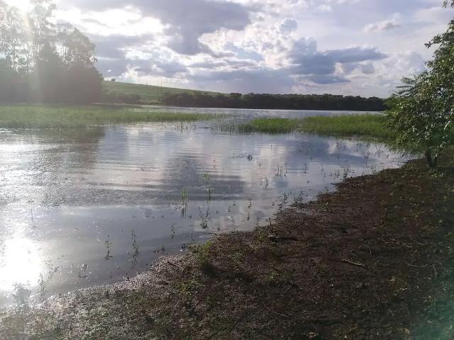 Sítio e chácara venda em Região Geográfica Imediata de Londrina, Alvorada do Sul