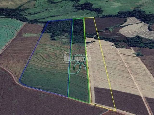 Sítio e chácara venda em Região Geográfica Imediata de Londrina, Alvorada do Sul