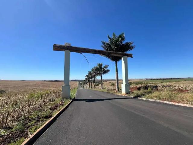 Sítio e chácara venda em Região Geográfica Imediata de Londrina, Alvorada do Sul