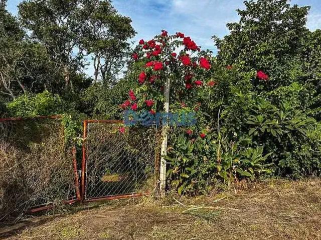 Sítio e chácara venda em Região Geográfica Imediata de Londrina, Alvorada do Sul