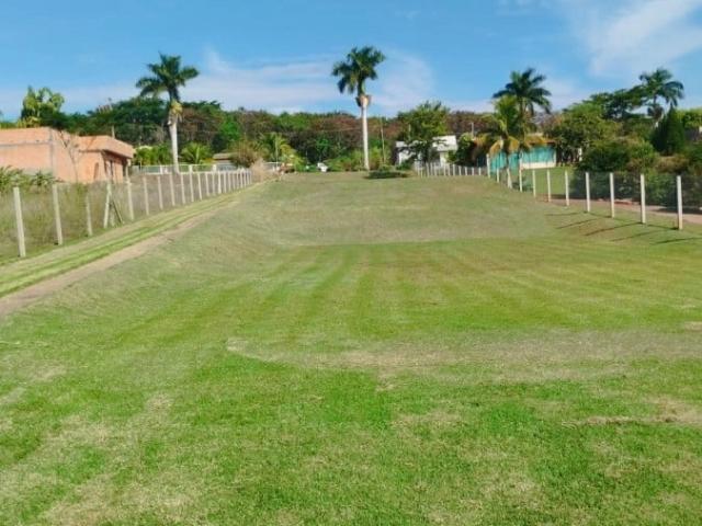 Sítio e chácara venda em Alvorada do Sul, Região Geográfica Intermediária de Londrina