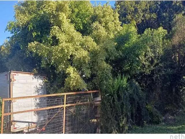 Sítio e chácara venda em Região Geográfica Imediata de Porto Alegre, Região Metropolitana de Porto Alegre