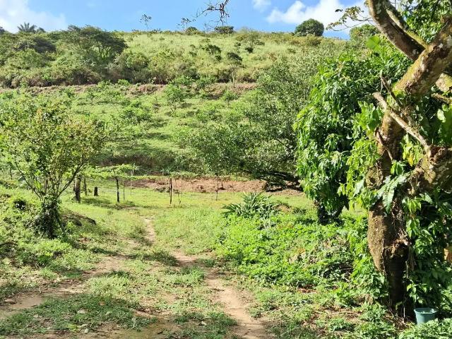 Terreno venda em Amaraji, Região Nordeste