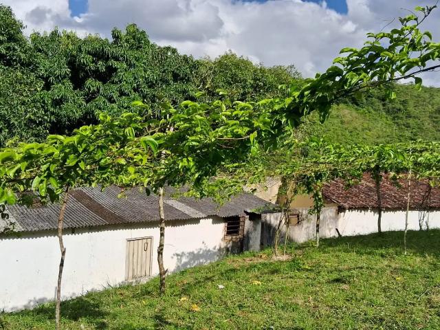 Terreno venda em Amaraji, Região Nordeste