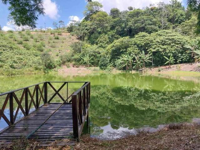 Sítio e chácara venda em Amaraji, Região Nordeste