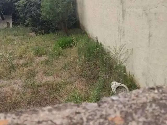 Sítio e chácara venda em Região Imediata de Campinas, Região Metropolitana de Campinas