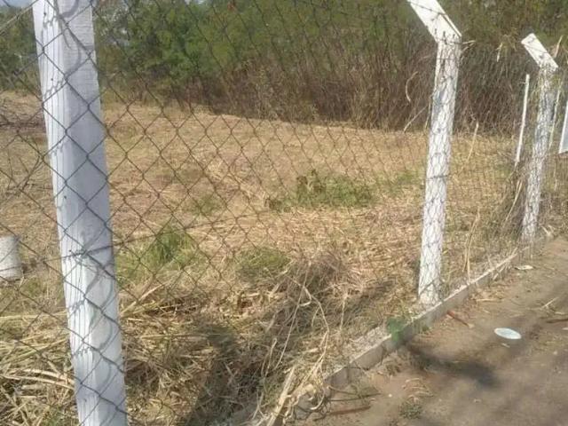 Sítio e chácara venda em Região Imediata de Campinas, Região Metropolitana de Campinas