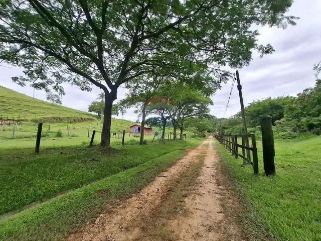 Sítio e chácara venda em Região Imediata de Amparo, Amparo