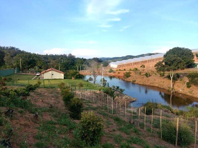Sítio e chácara venda em Região Imediata de Amparo, Amparo