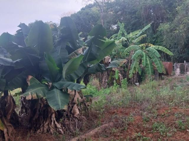 Sítio e chácara venda em Região Imediata de Amparo, Amparo
