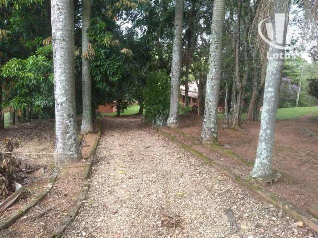 Sítio e chácara venda em Região Imediata de Amparo, Amparo