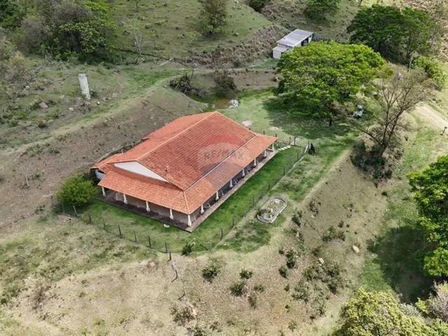 Sítio e chácara venda em Região Imediata de Amparo, Amparo