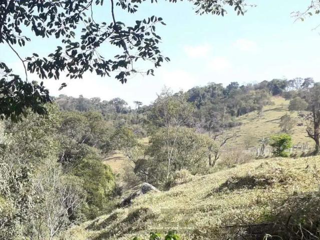 Sítio e chácara venda em Região Imediata de Amparo, Amparo