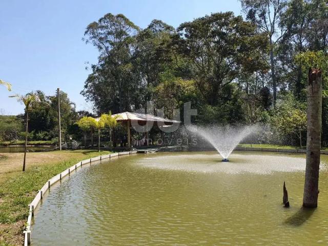 Sítio e chácara venda em Região Imediata de Amparo, Amparo
