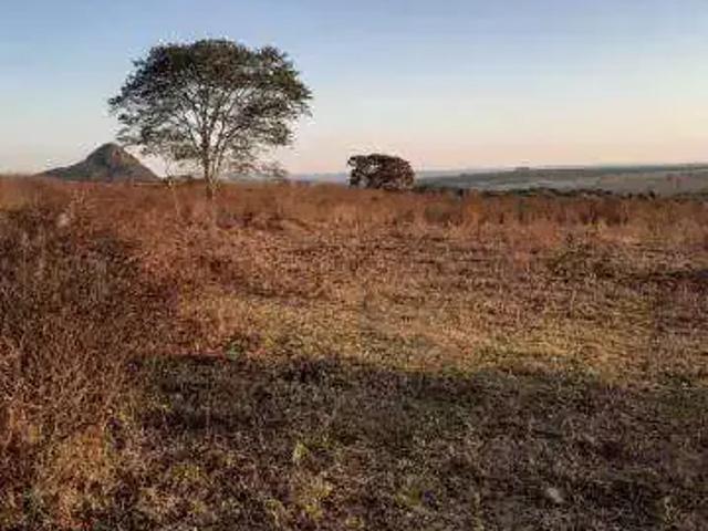 Sítio e chácara venda em Região Geográfica Imediata de Anápolis, Anápolis
