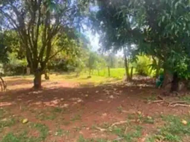 Sítio e chácara venda em Região Geográfica Imediata de Anápolis, Anápolis
