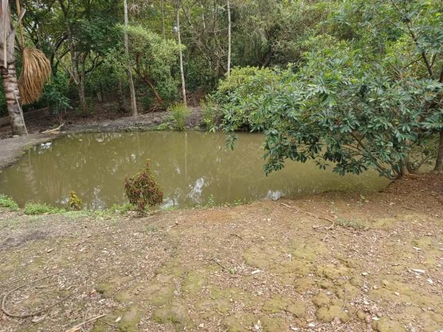 Sítio e chácara venda em Região Geográfica Imediata de Anápolis, Anápolis