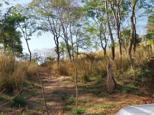 Sítio e chácara venda em Região Geográfica Imediata de Anápolis, Anápolis